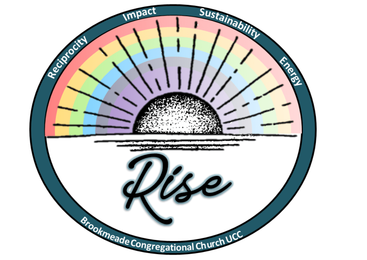 rise-logo.png